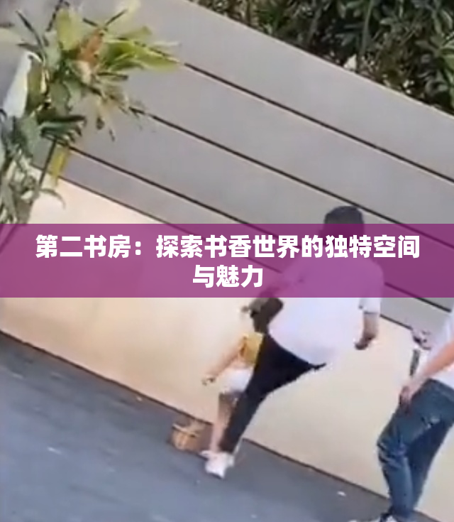 第二书房：探索书香世界的独特空间与魅力
