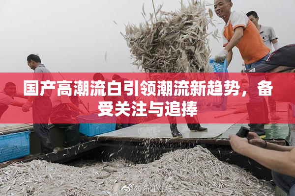 国产高潮流白引领潮流新趋势，备受关注与追捧