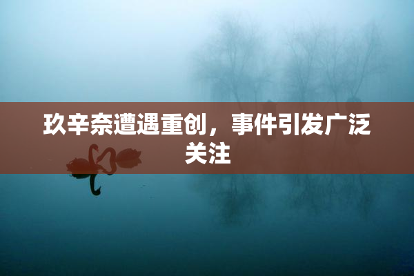 玖辛奈遭遇重创，事件引发广泛关注