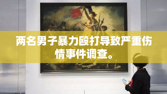 两名男子暴力殴打导致严重伤情事件调查。