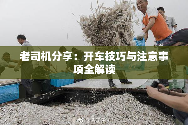 老司机分享：开车技巧与注意事项全解读
