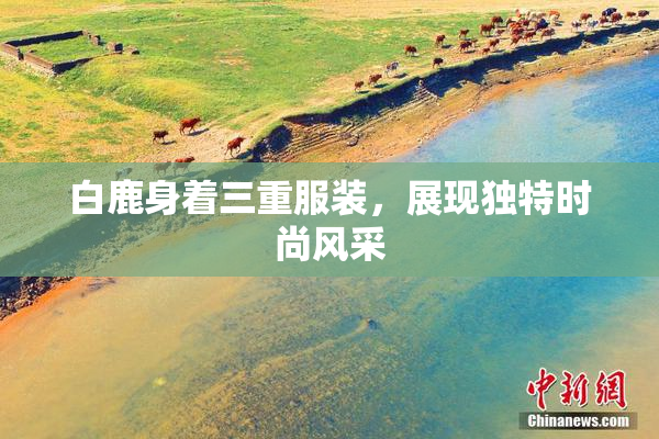 白鹿身着三重服装，展现独特时尚风采