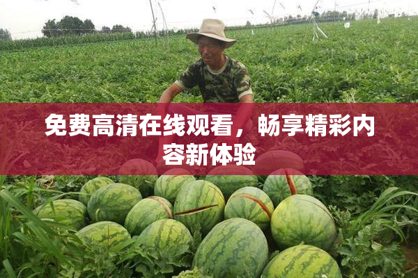 免费高清在线观看，畅享精彩内容新体验