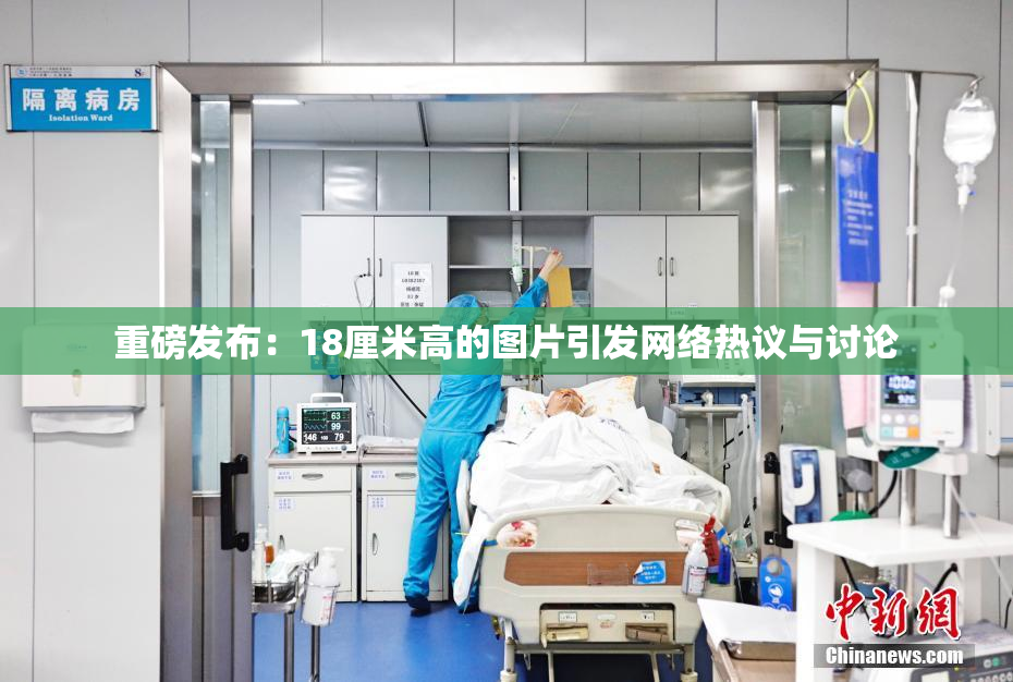 重磅发布：18厘米高的图片引发网络热议与讨论