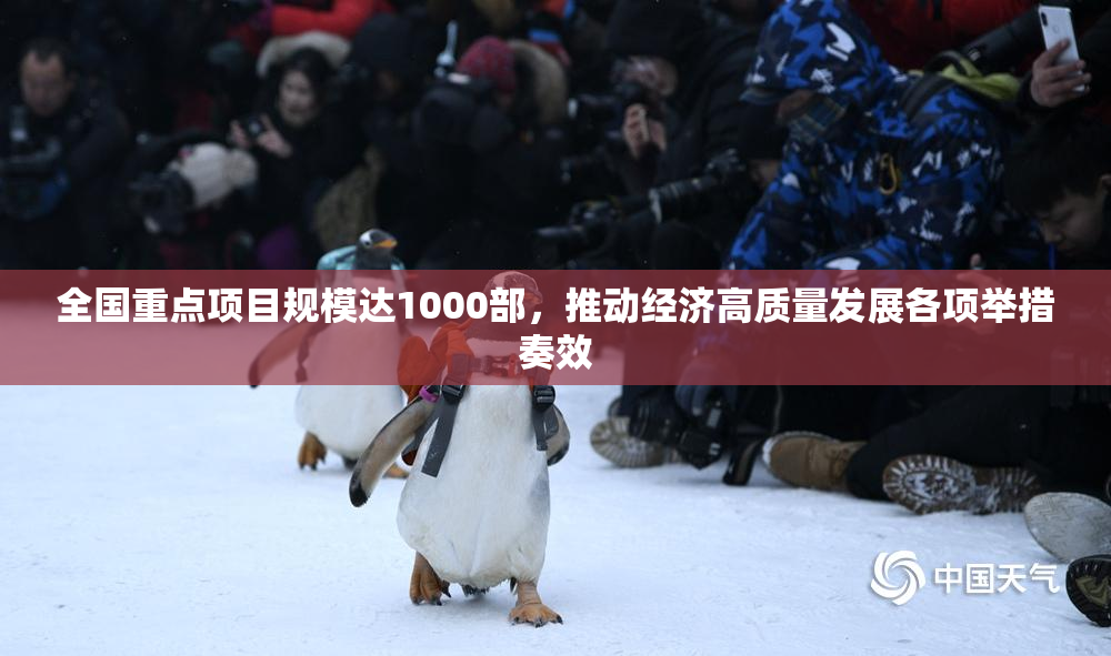全国重点项目规模达1000部，推动经济高质量发展各项举措奏效
