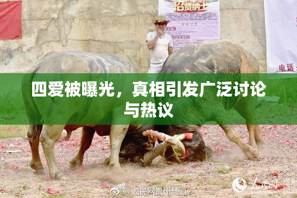 四爱被曝光，真相引发广泛讨论与热议