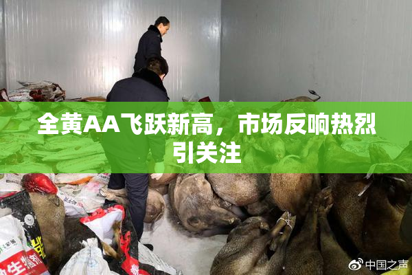 全黄AA飞跃新高，市场反响热烈引关注