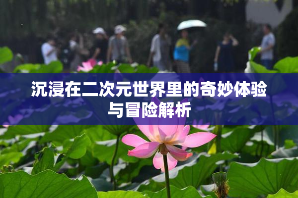沉浸在二次元世界里的奇妙体验与冒险解析