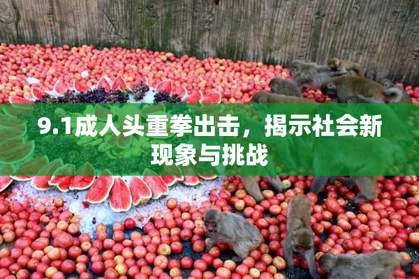 9.1成人头重拳出击，揭示社会新现象与挑战