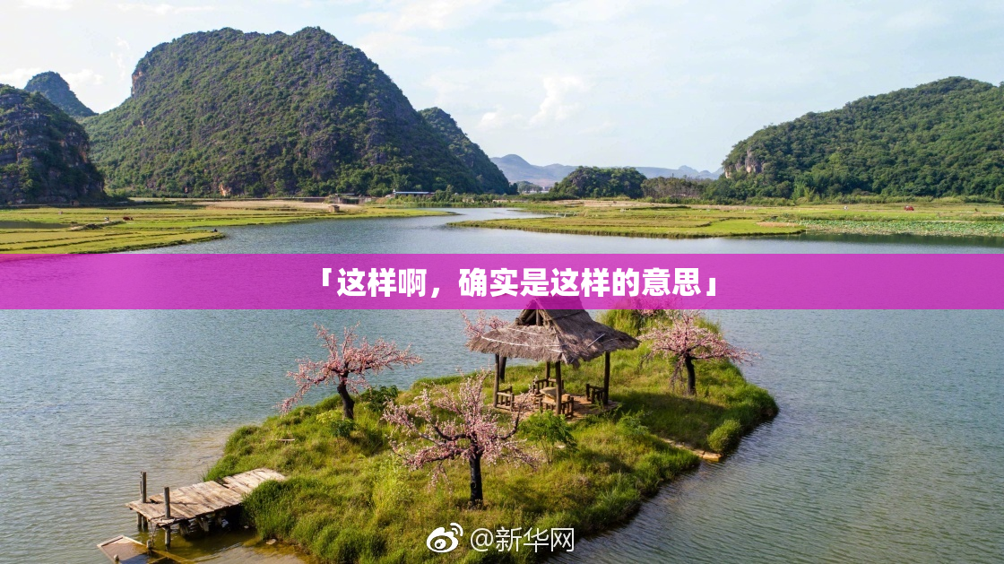 「这样啊，确实是这样的意思」