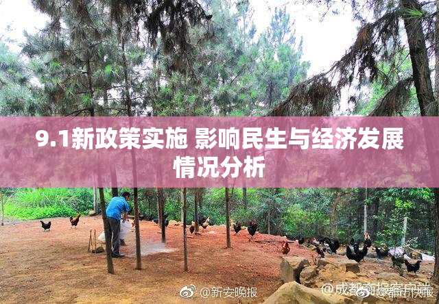 9.1新政策实施 影响民生与经济发展情况分析