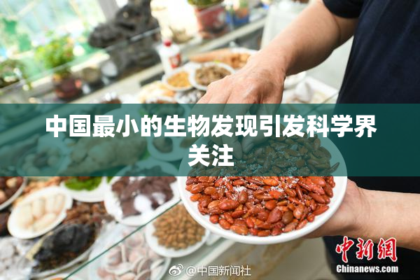 中国最小的生物发现引发科学界关注