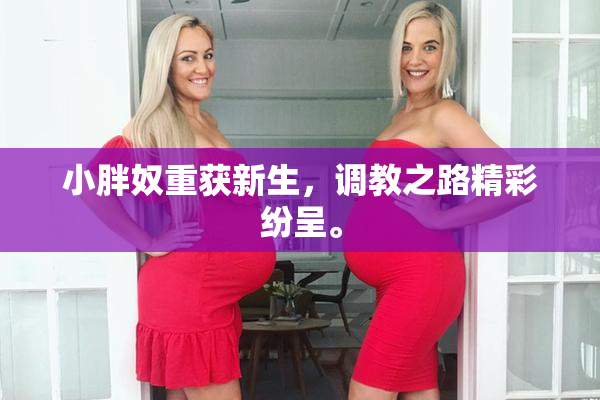 小胖奴重获新生，调教之路精彩纷呈。