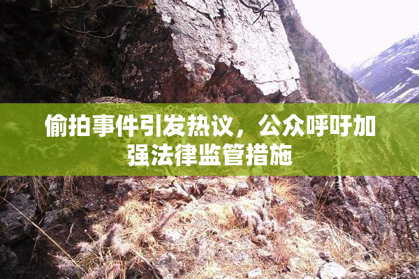 偷拍事件引发热议，公众呼吁加强法律监管措施