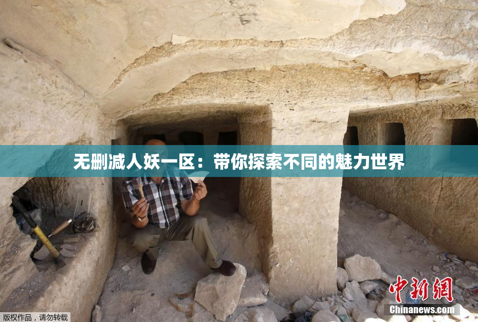 无删减人妖一区：带你探索不同的魅力世界