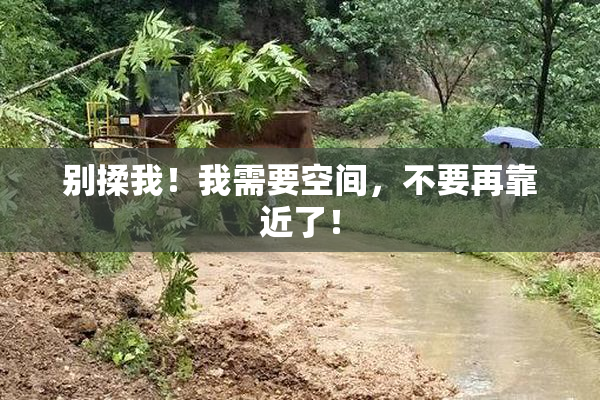 别揉我！我需要空间，不要再靠近了！