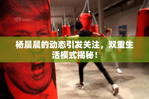 杨晨晨的动态引发关注，双重生活模式揭秘！