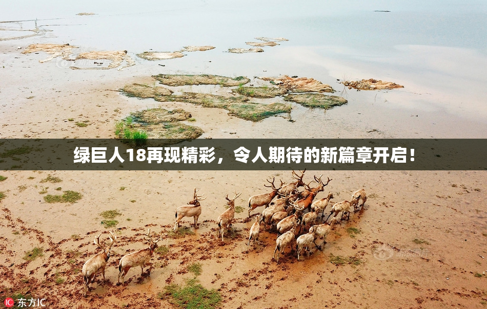 绿巨人18再现精彩，令人期待的新篇章开启！
