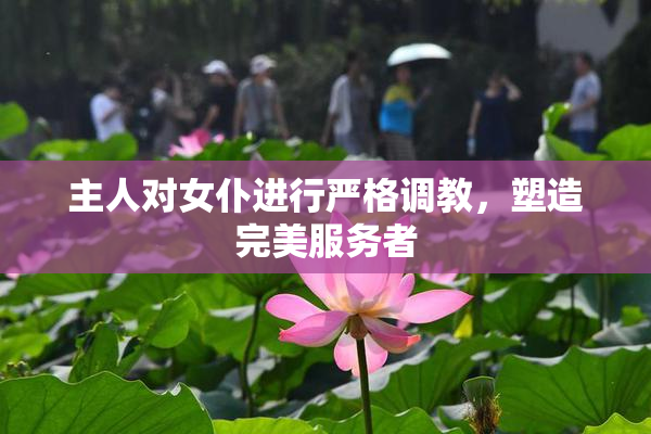 主人对女仆进行严格调教，塑造完美服务者