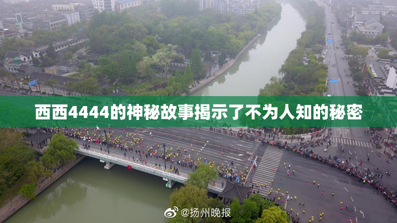 西西4444的神秘故事揭示了不为人知的秘密