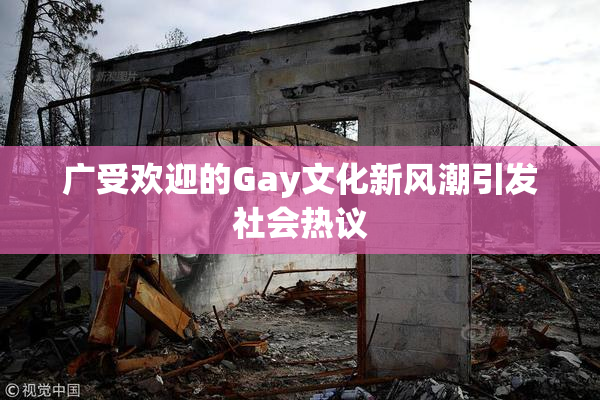 广受欢迎的Gay文化新风潮引发社会热议