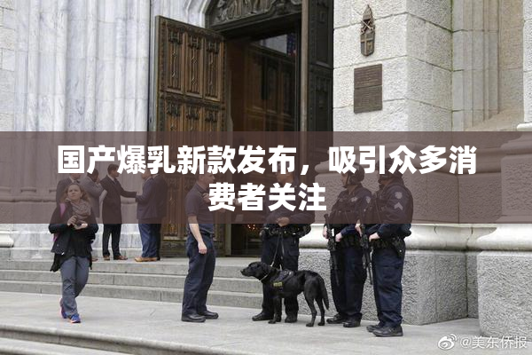 国产爆乳新款发布，吸引众多消费者关注