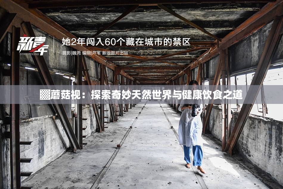 ▓蘑菇视：探索奇妙天然世界与健康饮食之道