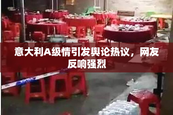 意大利A级情引发舆论热议，网友反响强烈