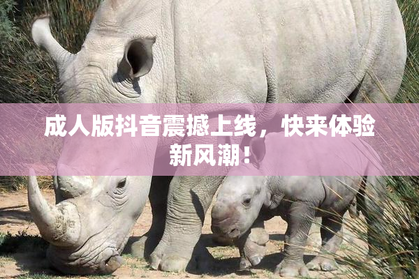 成人版抖音震撼上线，快来体验新风潮！