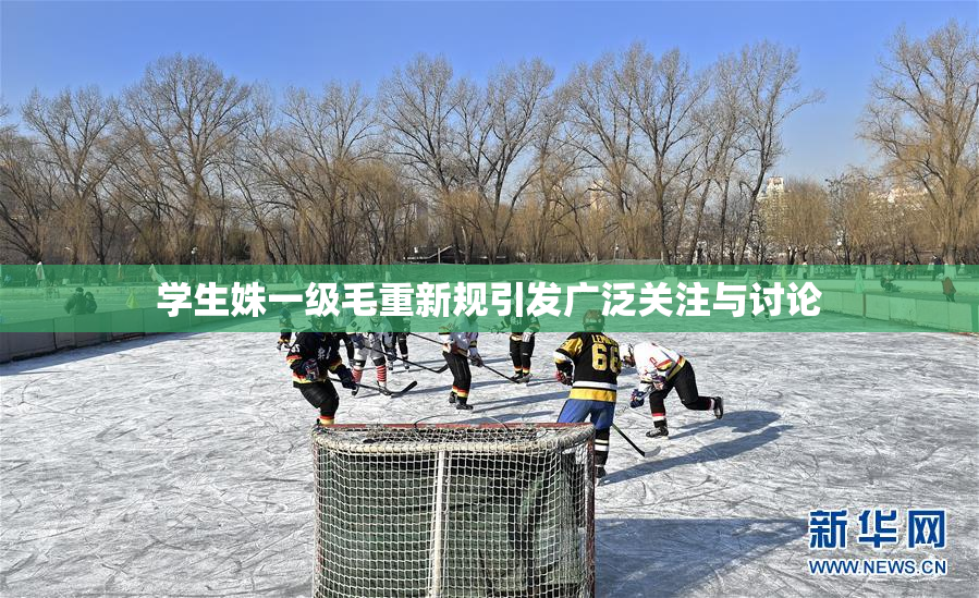 学生姝一级毛重新规引发广泛关注与讨论