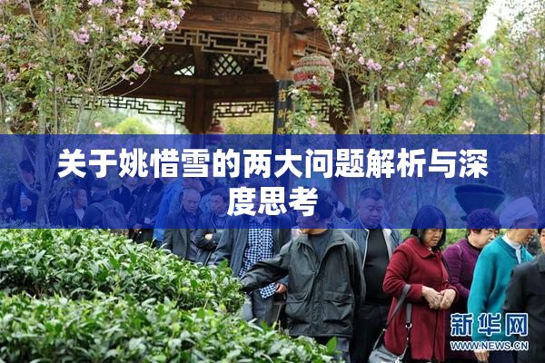 关于姚惜雪的两大问题解析与深度思考