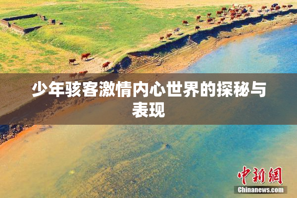 少年骇客激情内心世界的探秘与表现