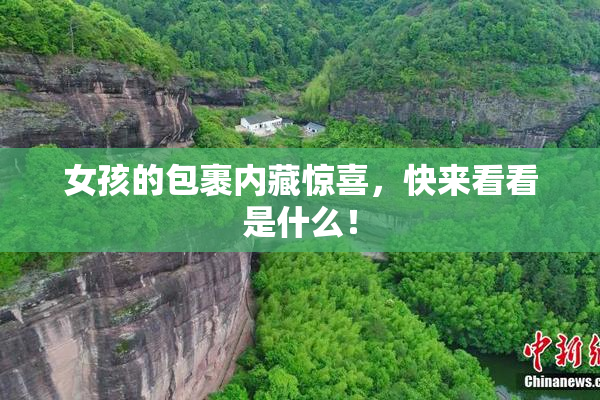 女孩的包裹内藏惊喜，快来看看是什么！