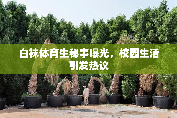 白袜体育生秘事曝光，校园生活引发热议