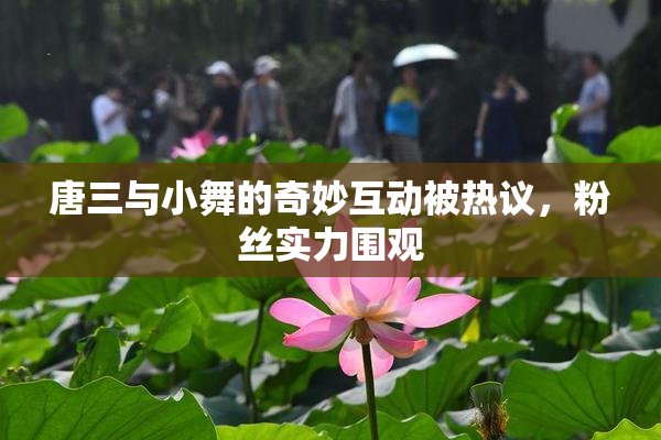 唐三与小舞的奇妙互动被热议，粉丝实力围观