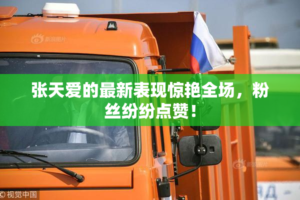 张天爱的最新表现惊艳全场，粉丝纷纷点赞！