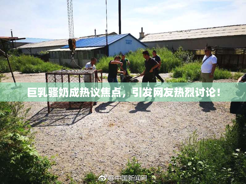 巨乳骚奶成热议焦点，引发网友热烈讨论！
