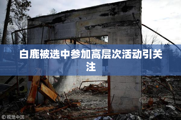 白鹿被选中参加高层次活动引关注