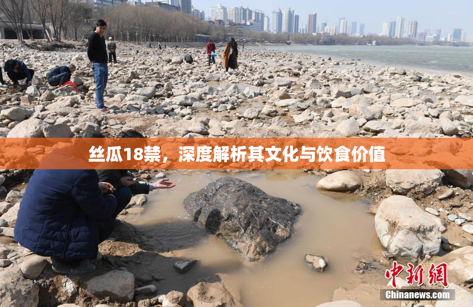 丝瓜18禁，深度解析其文化与饮食价值