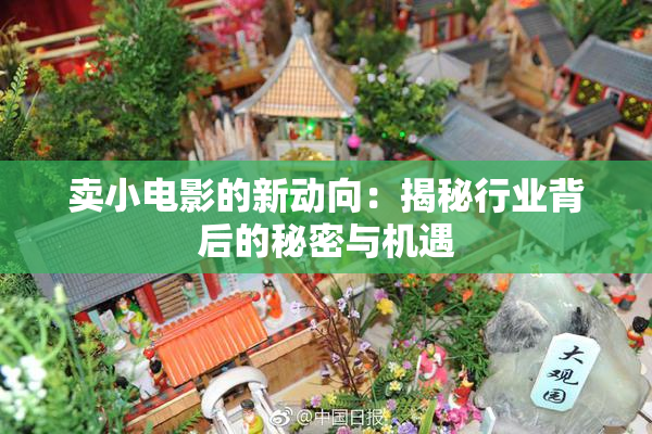 卖小电影的新动向：揭秘行业背后的秘密与机遇