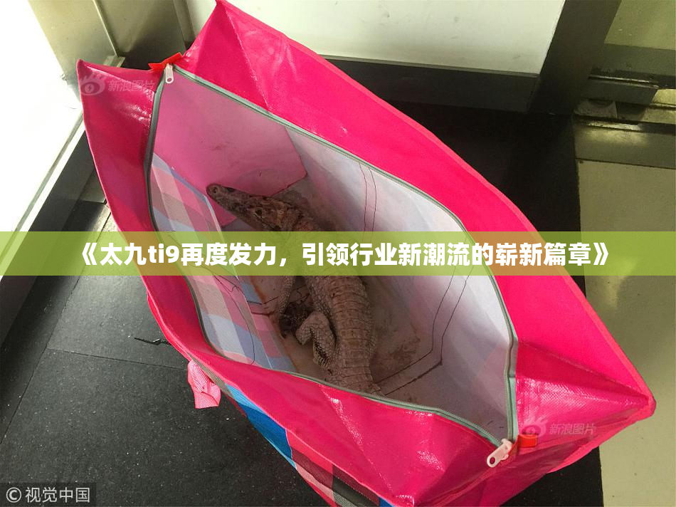 《太九ti9再度发力，引领行业新潮流的崭新篇章》