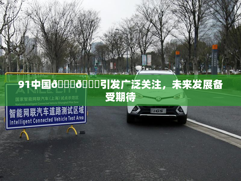 91中国🍆🍑引发广泛关注，未来发展备受期待