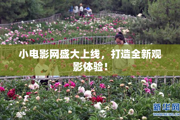 小电影网盛大上线，打造全新观影体验！