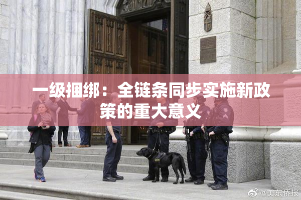 一级捆绑：全链条同步实施新政策的重大意义