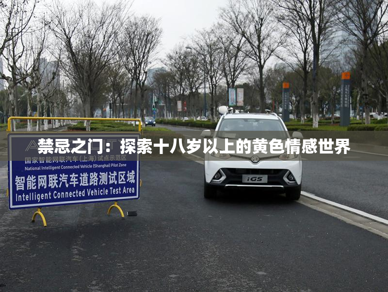 禁忌之门：探索十八岁以上的黄色情感世界