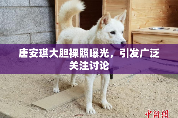 唐安琪大胆裸照曝光，引发广泛关注讨论
