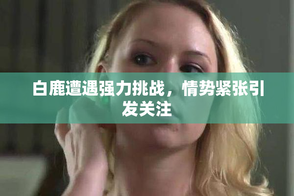 白鹿遭遇强力挑战，情势紧张引发关注