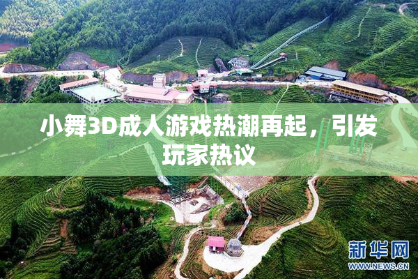 小舞3D成人游戏热潮再起，引发玩家热议