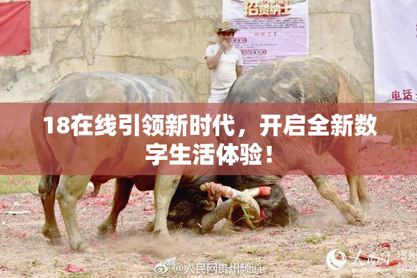 18在线引领新时代，开启全新数字生活体验！