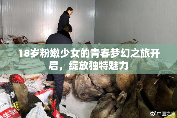 18岁粉嫩少女的青春梦幻之旅开启，绽放独特魅力